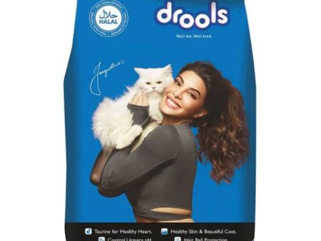 Drools Ocean Fish Adult Cat Dry Food (60g) For Cheap