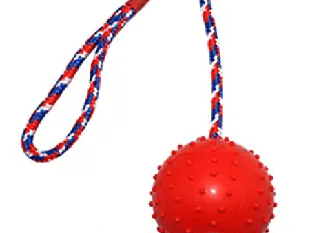 Emily Pets Rubber Ball with Rope Chew Toy for Dogs (Red) Online now