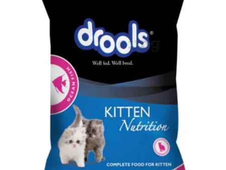 Drools Ocean Fish Kitten Dry Food (60g) on Sale