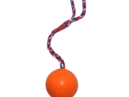 Emily Pets Rubber Ball with Rope Chew Toy for Dogs (Orange) Supply