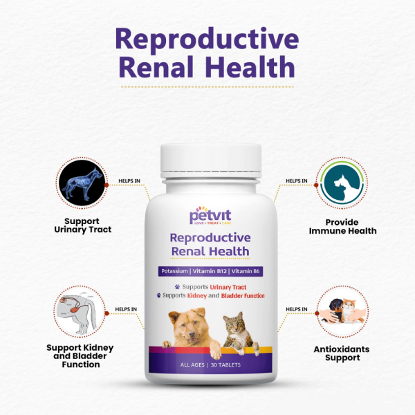 Petvit Reproductive Renal Health Tablet for Dogs and Cats Online now