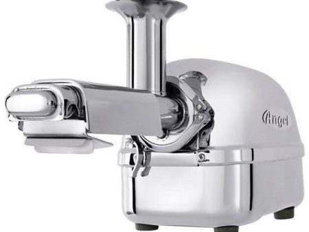 Angel Juicer 5500 Twin Gear Stainless Steel Juicer (Super Angel Plus) Discount